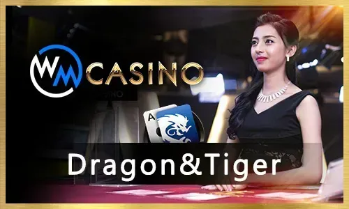 Poker & Card Games